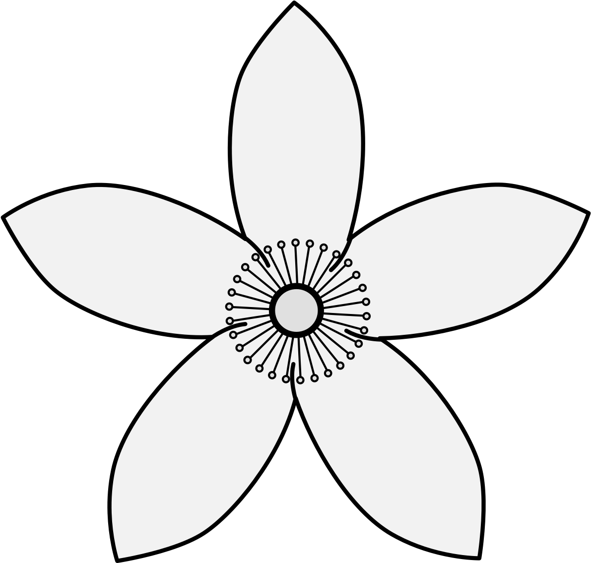 Details, Png - Flower White Icon Png (1218x1162), Png Download