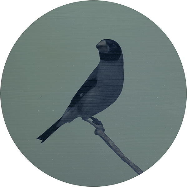 Raven Silhouette Png (600x600), Png Download