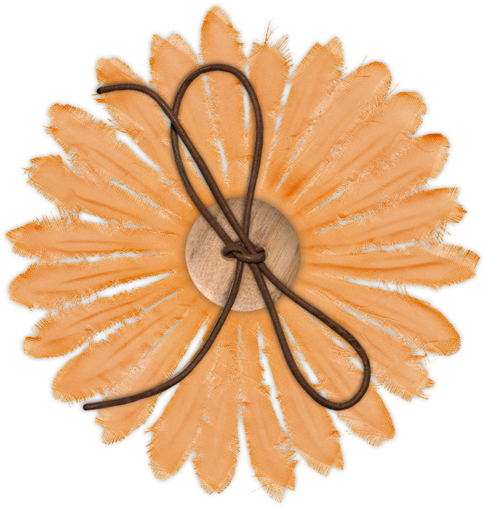Orange Flower Photo Orangeflower - Wall Clock (772x766), Png Download