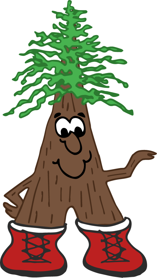 Redwoods Rv Resort Has Gone Back To Our Roots - Cartoon (550x975), Png Download