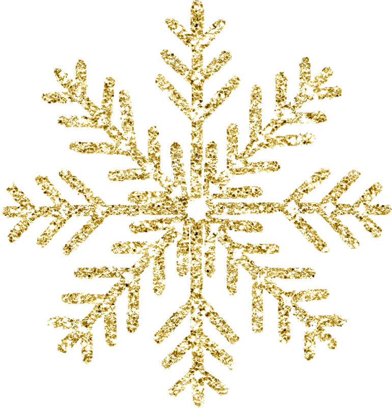 The Gallery For > Gold Star Border Transparent - Transparent Background Gold Snowflake (770x800), Png Download