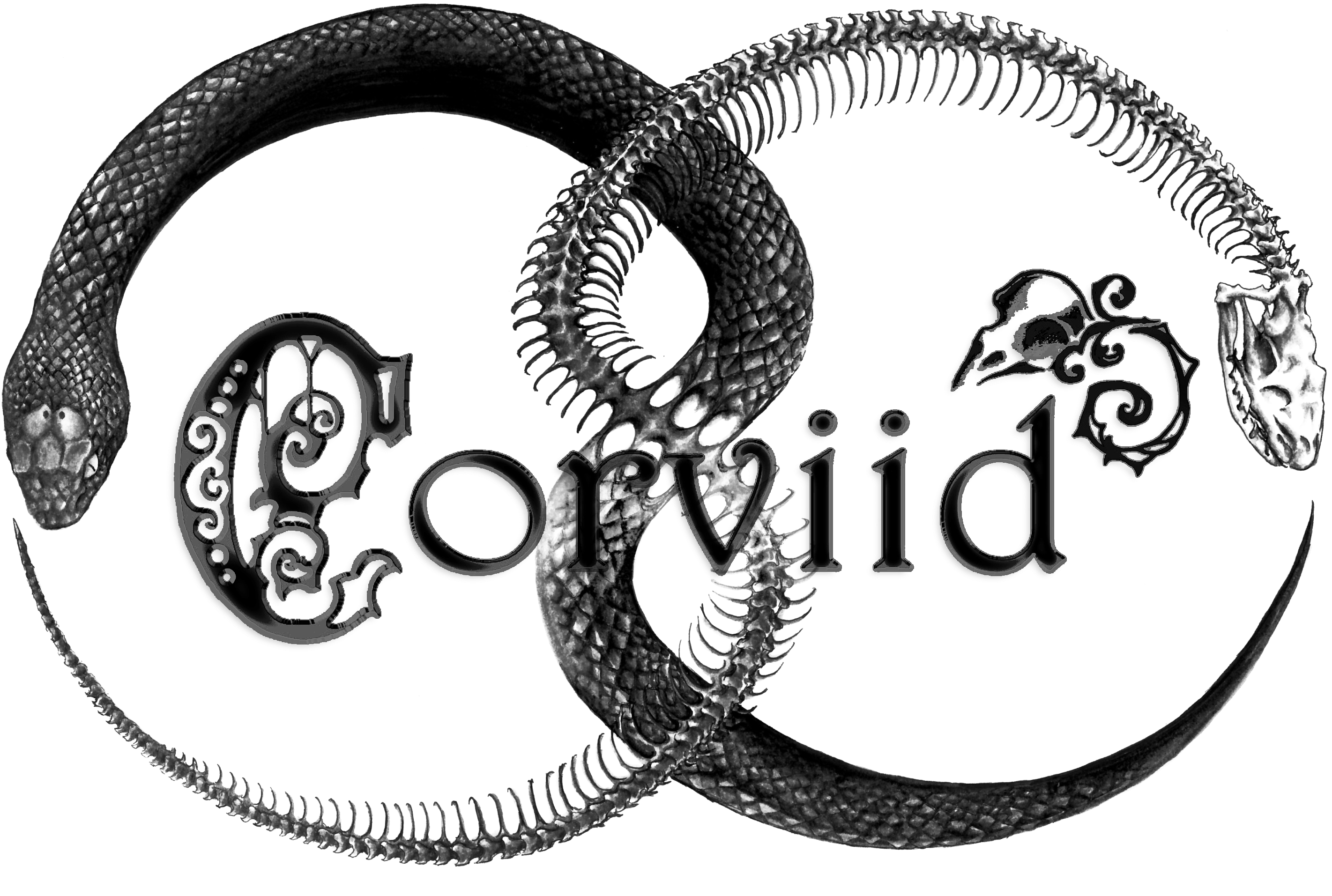 Corviid's Signature (2998x1982), Png Download