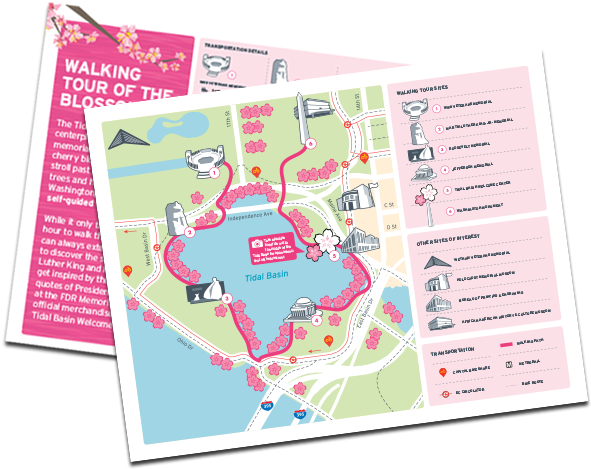 Cherry Blossom Walking Tour Cover Graphic - Map (636x500), Png Download