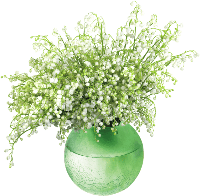 Free Png Download Lily Of The Valleyin Vase Png Images - Vase De Fleure Deco (850x792), Png Download