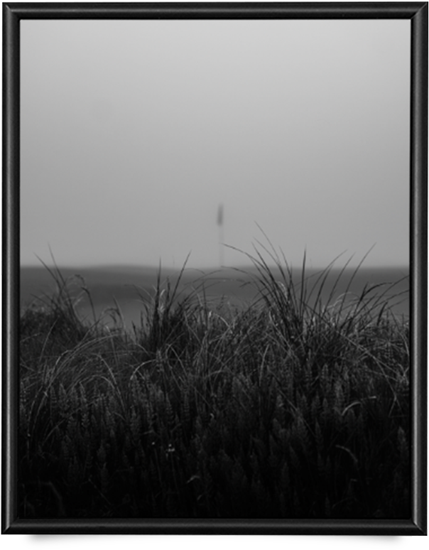 Fog Fescue Giclée Print - Monochrome (989x989), Png Download
