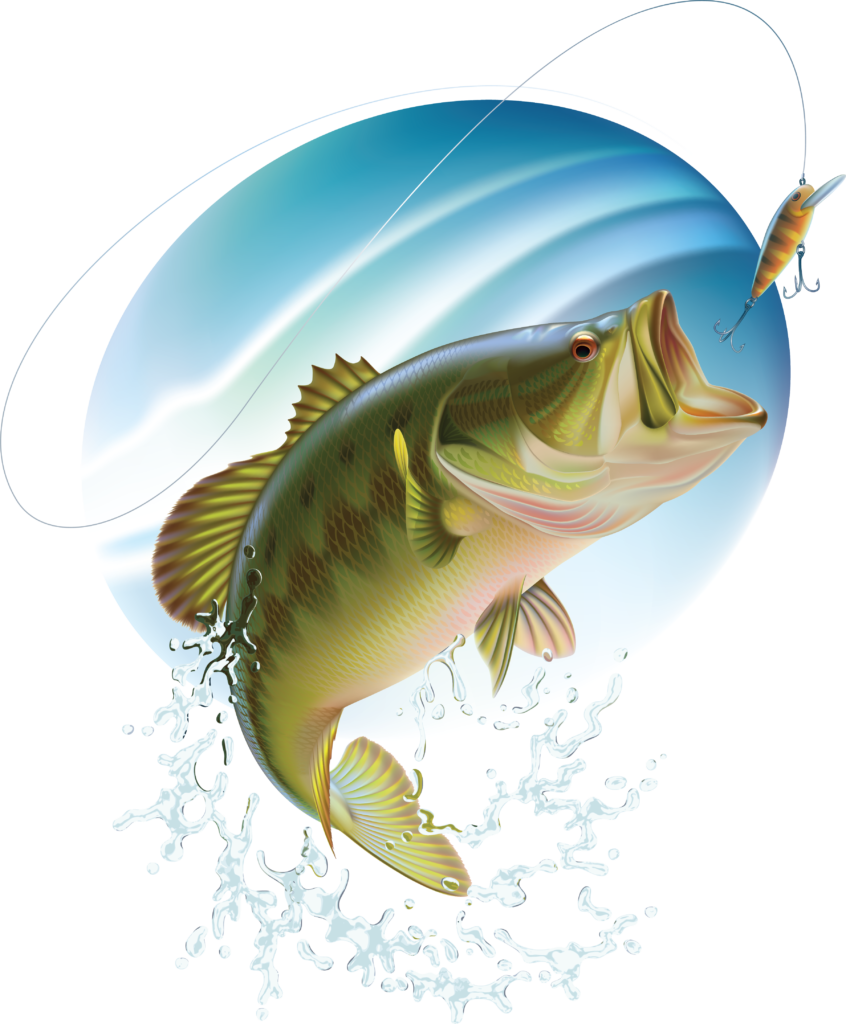 Bass Fishing Clipart Free (846x1024), Png Download