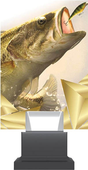 A New Standard Of Glass Trophies Mounted On An Elegant - Lunge (570x630), Png Download