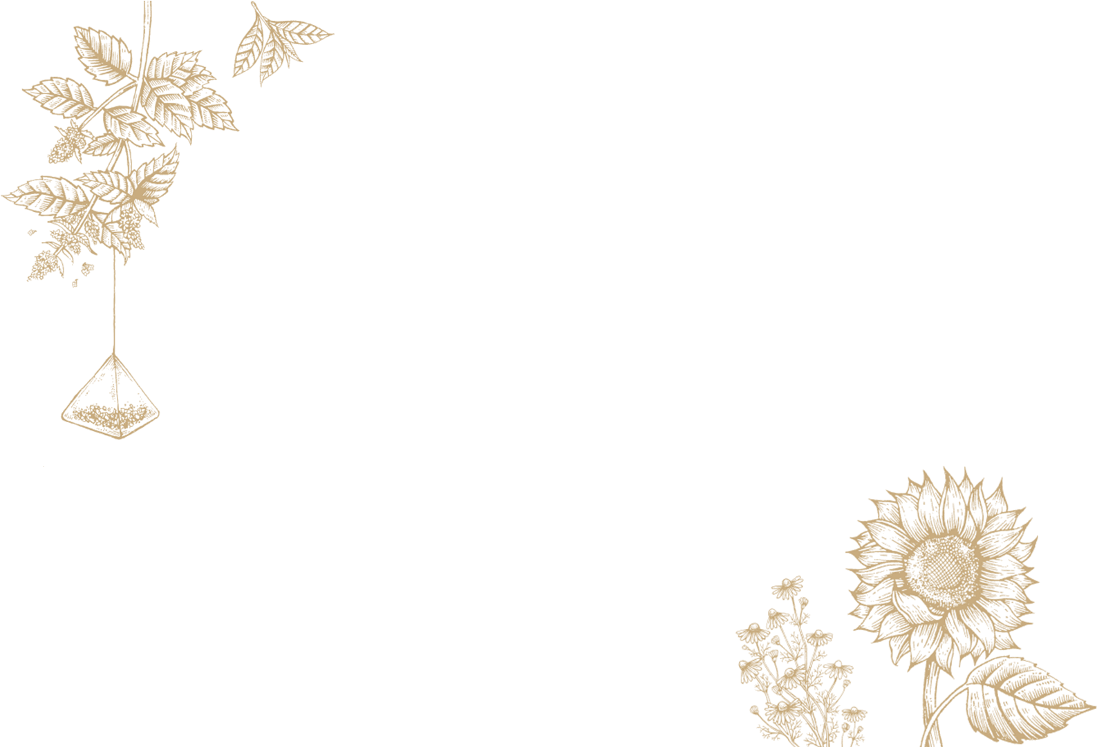 Home › Tea Room › Tips For Brewing Your Best Cup - Floral Design (1920x1080), Png Download