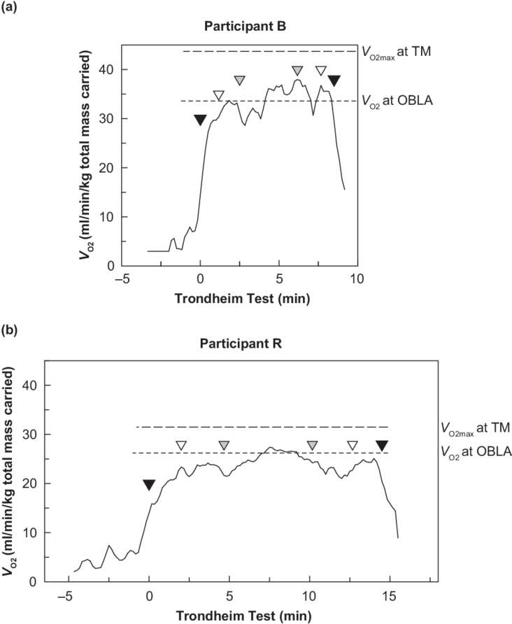 V O2 Measured During Trondheim Test Of Firefighters - Diagram (850x911), Png Download