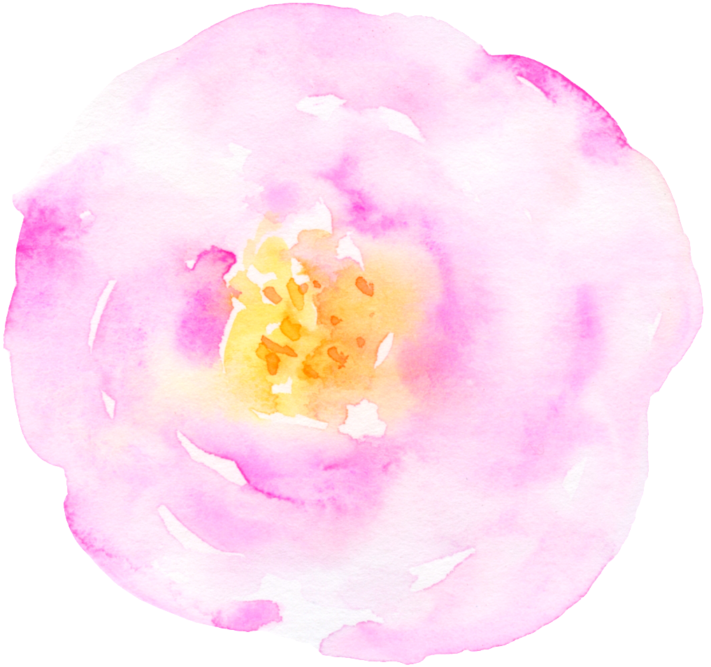 Card Decoration Flower Cartoon Transparent - Moth Orchid (1024x971), Png Download