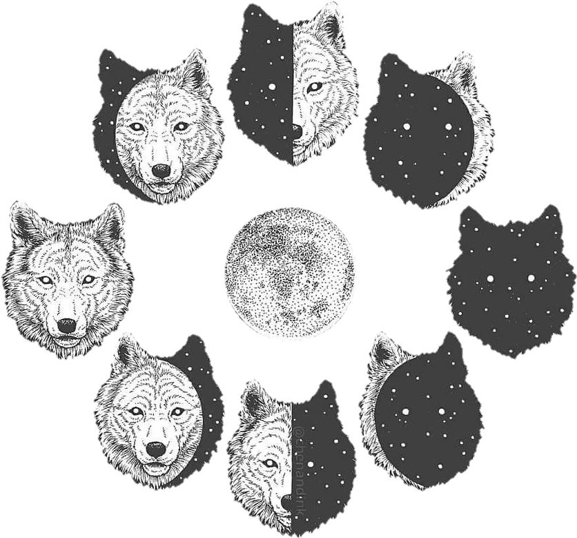 Wolf Aesthetic Tumblr - Wolf And Moon Drawing (867x821), Png Download