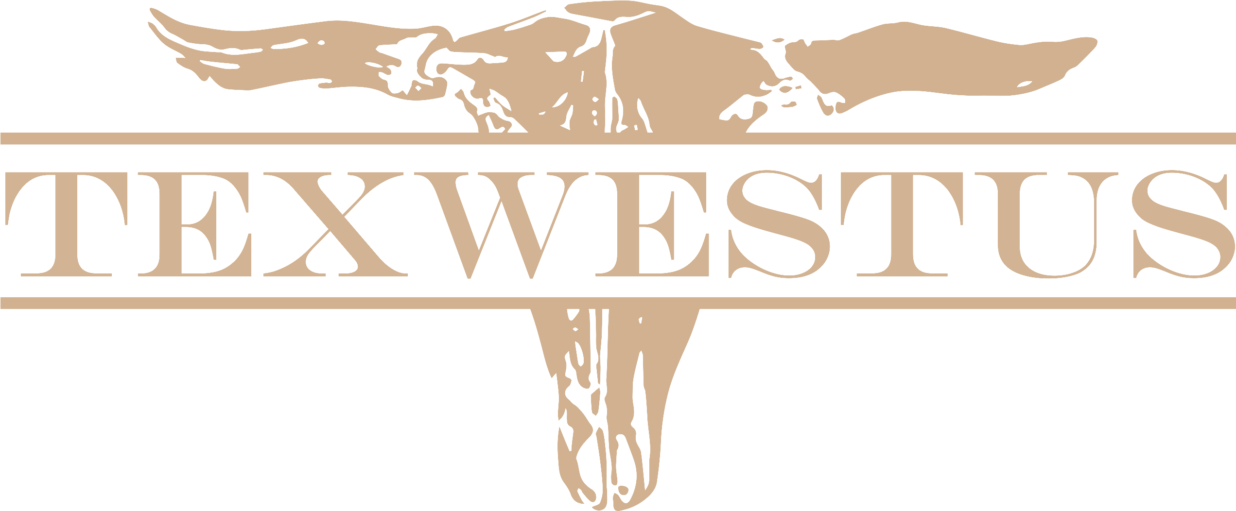 Change Logo Color Per Your Design - Hundred More Years Francesca Battistelli (2713x1265), Png Download