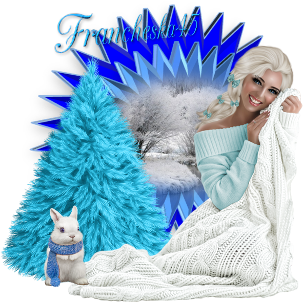 Chez - - Christmas Tree (600x622), Png Download