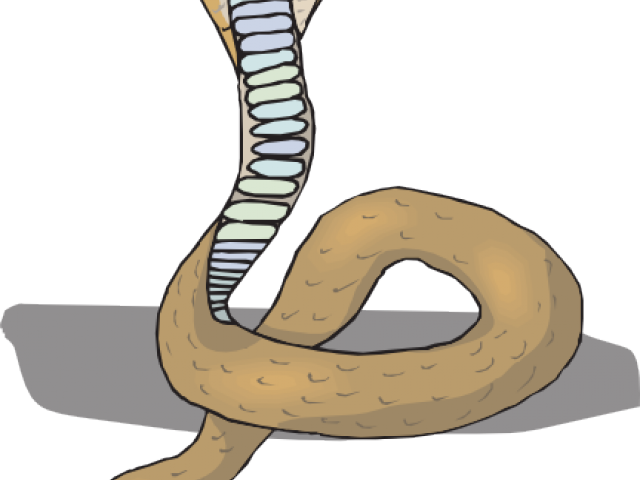 Clip Art (640x480), Png Download