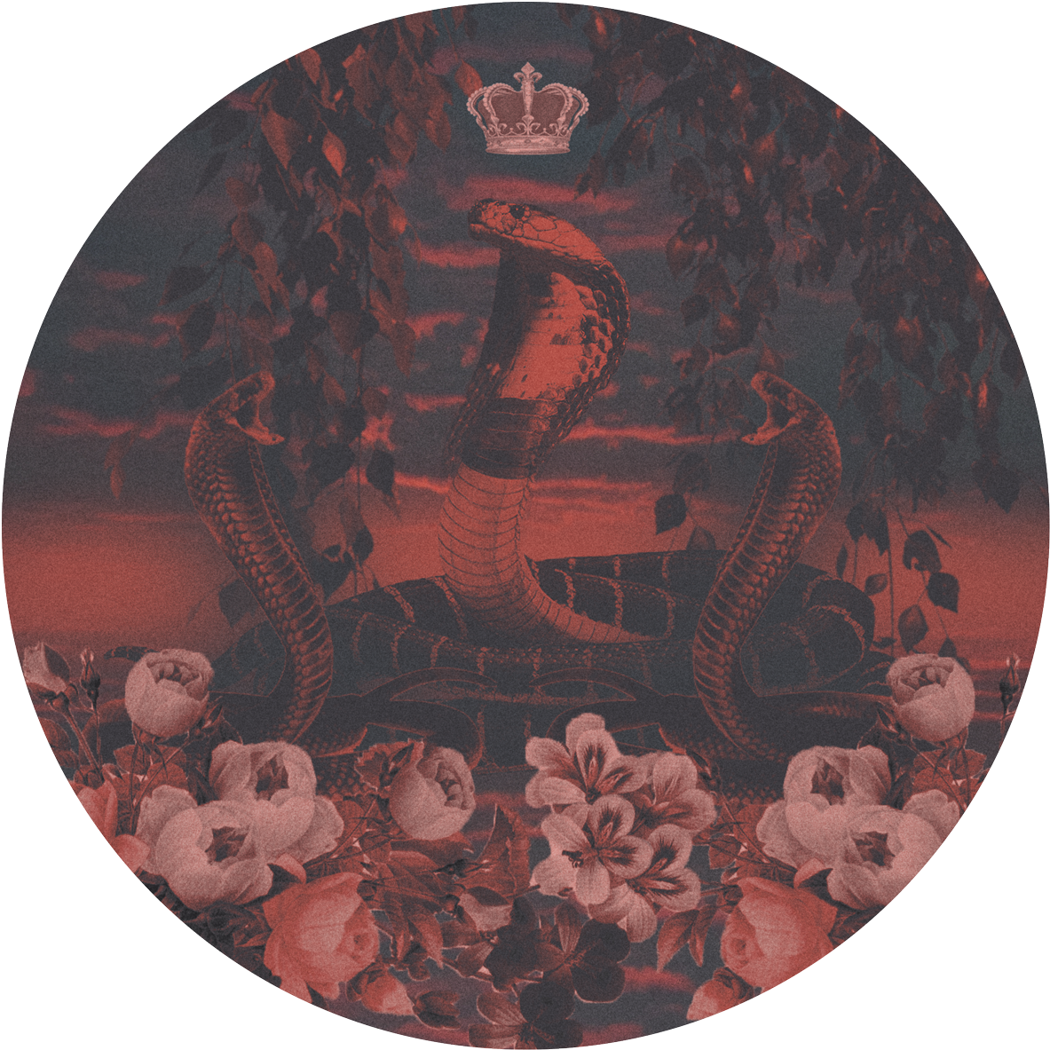 King Cobra - Motif (1200x1200), Png Download