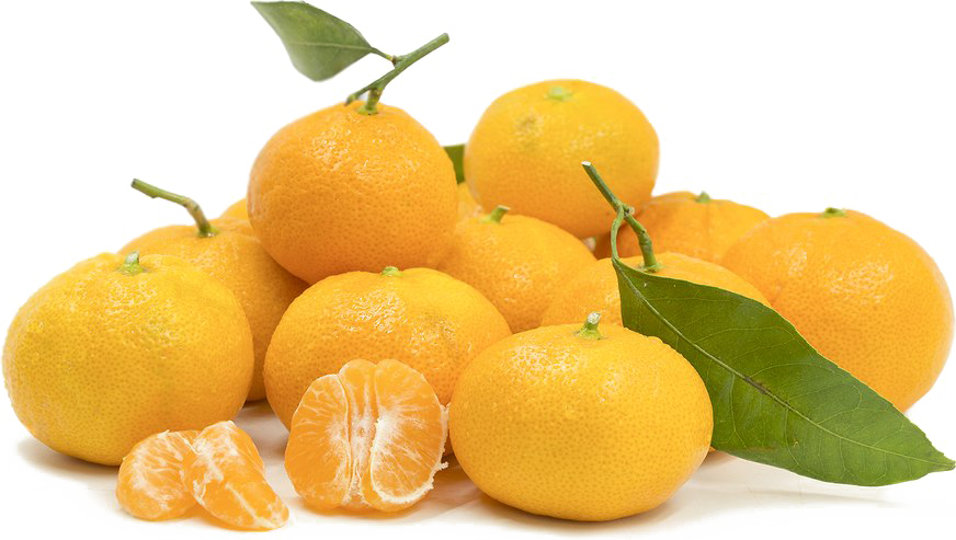 Mandarin Orange Png Image Background - Tangerine (872x493), Png Download