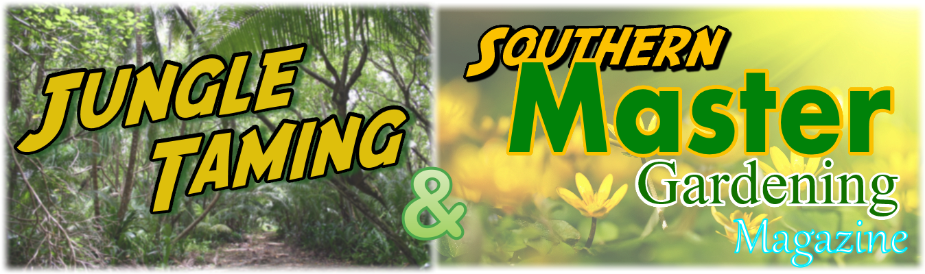 Logo - Graphic Design (1379x423), Png Download