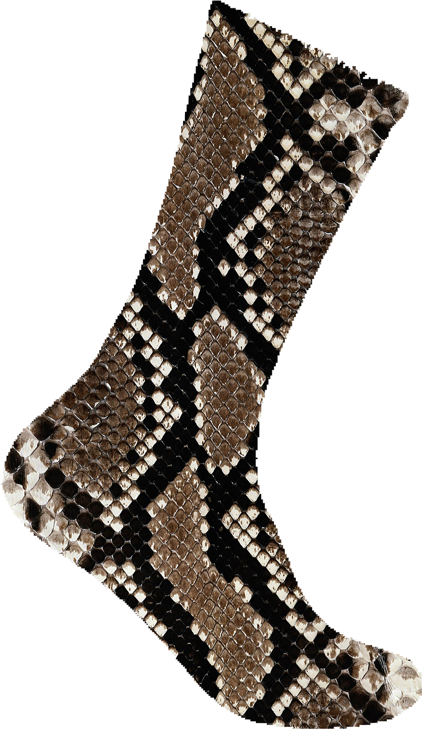 Snakes (866x1500), Png Download