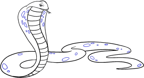 King Cobra Clipart Simple - Draw A Cobra (640x480), Png Download