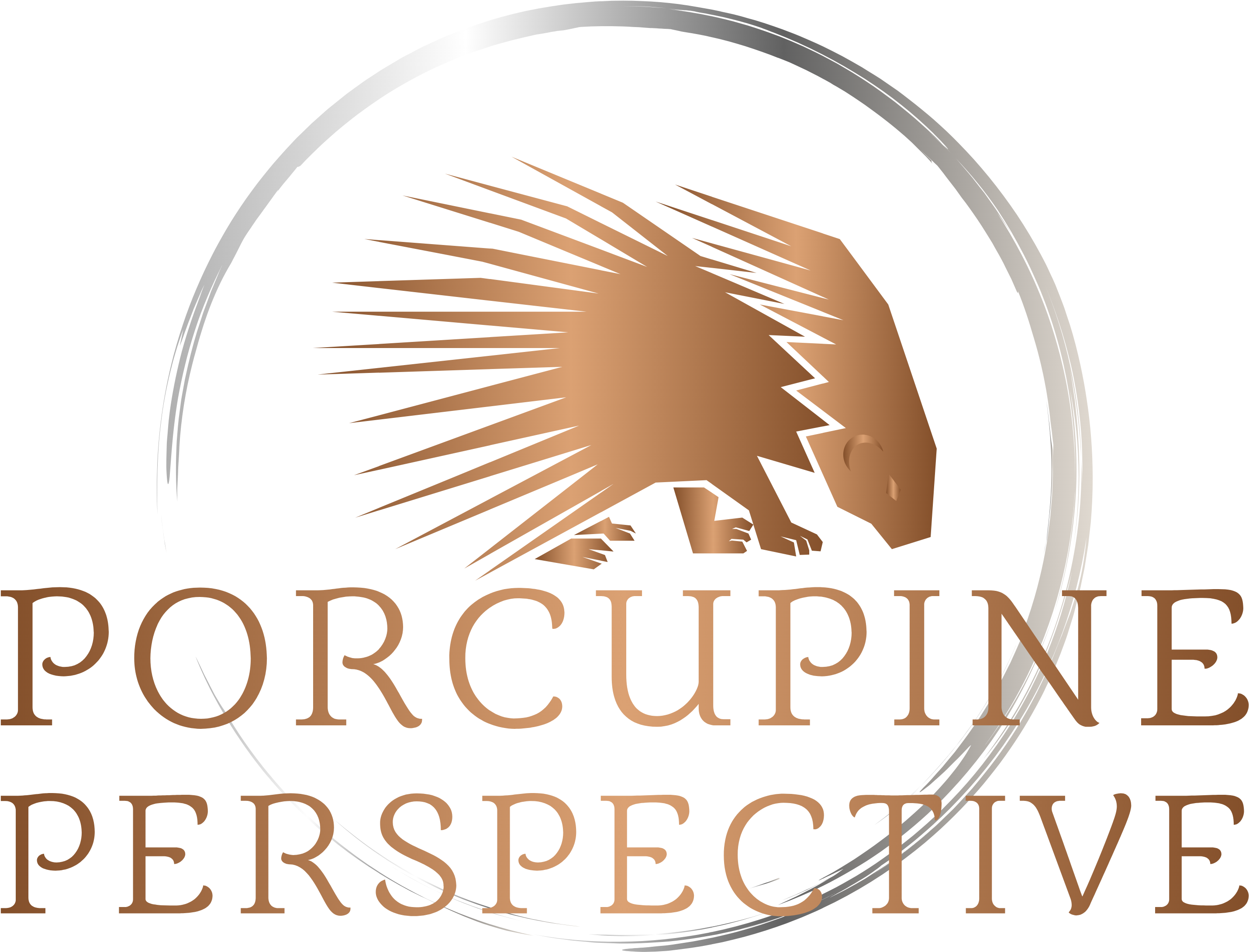 Porcupine Perspective Porcupine Perspective - Poster (3286x2743), Png Download