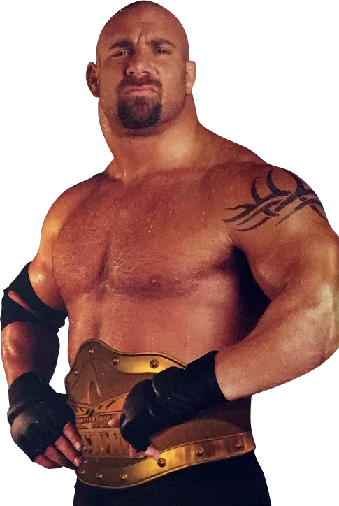 Goldberg - Goldberg Chest (485x724), Png Download