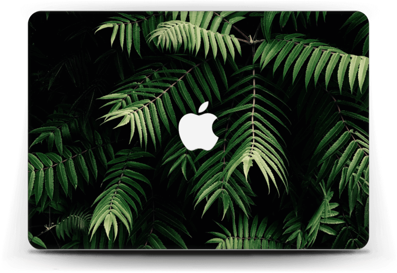 Tropics Skin Macbook Air 13” - Fundas Tropicales Iphone X (800x562), Png Download