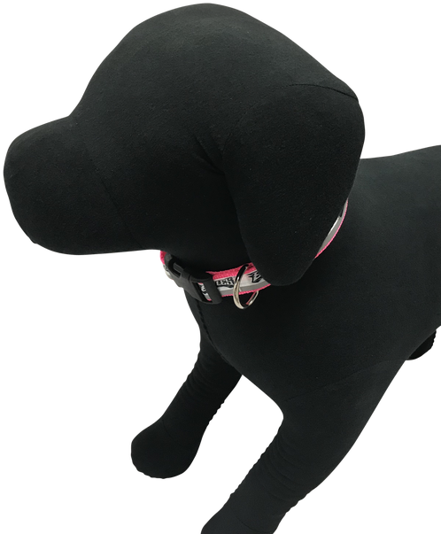 Philadelphia Eagles Dog Collar - Dog (500x624), Png Download