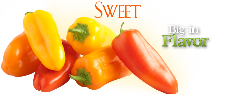 900 X 370 3 - Mini Sweet Peppers Png (900x370), Png Download