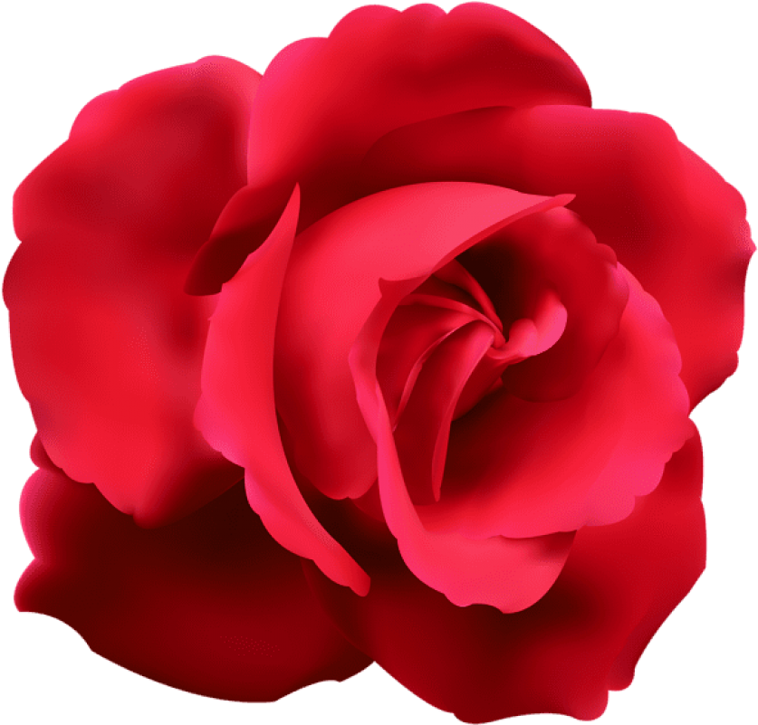 Free Png Download Red Rose Png Images Background Png - Roses Clip Art Png Transparent (850x814), Png Download
