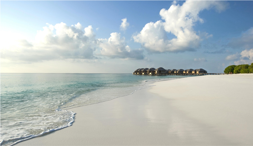 Score 50% (1000x1000), Png Download