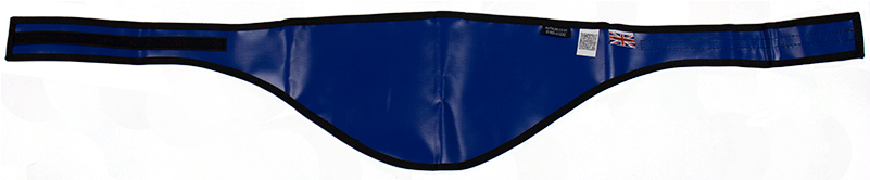 Sr0 - - G-string (800x800), Png Download