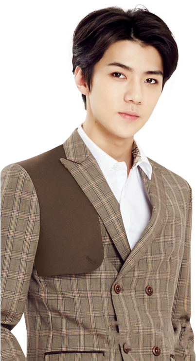 Exo, Overlay, And Png Image - Sehun Transparent (500x750), Png Download