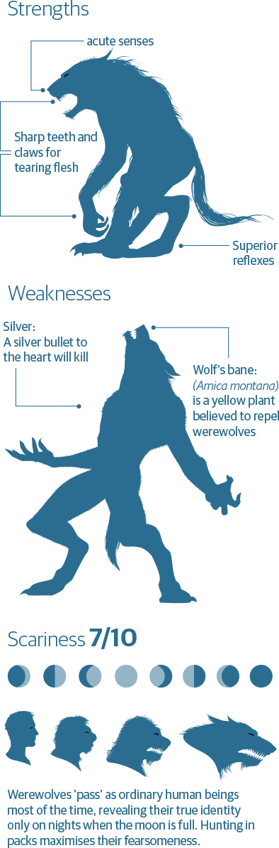 Werewolves - Werewolf Silhouette (394x1194), Png Download