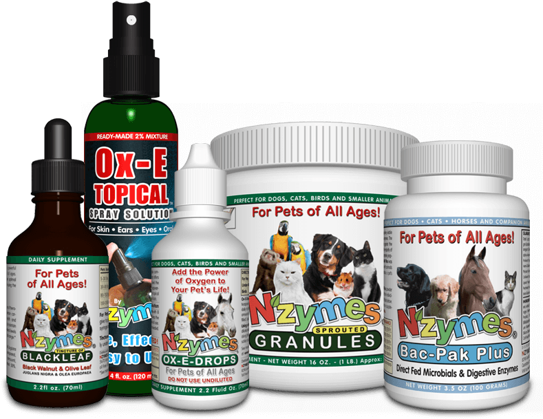 Products Recommended For Resolving Dogs Yeasty Ears - Stallion (800x800), Png Download
