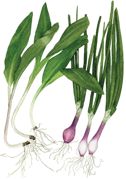 If You Want To Buy My Art (560x760), Png Download