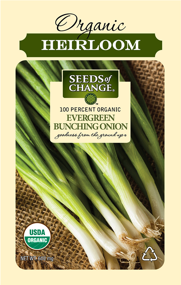 Organic Evergreen Bunching Onion Seeds - Seeds Of Change Certified Organic (1000x1000), Png Download