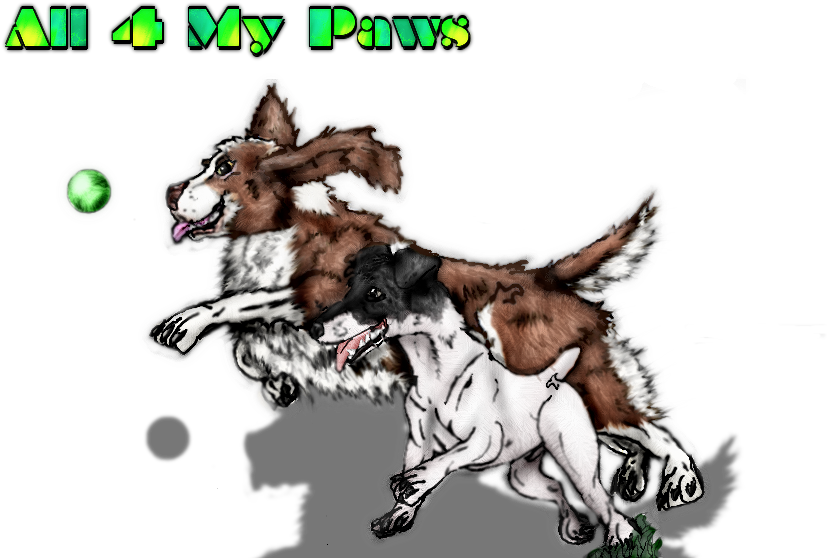 Img - Photobucket - - Dog Catches Something (864x591), Png Download