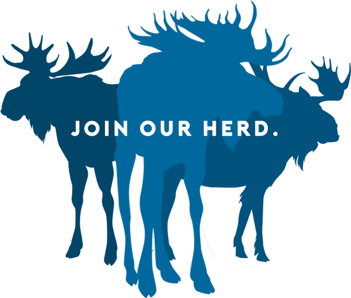 Blue Moose Is A Direct Marketing Agency That Offers - Elch Schablone (750x750), Png Download