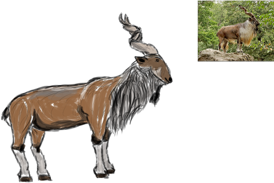 A Still Life Drawing Of A Dragon Ball Ornament Found - Mane (1100x687), Png Download