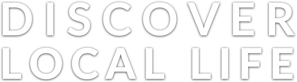 Live Together Like A Family - Fête De La Musique (1253x348), Png Download