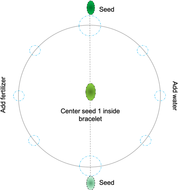 6 - Circle (639x658), Png Download