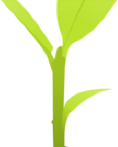 Soil Clipart Seedling - Grass (640x480), Png Download