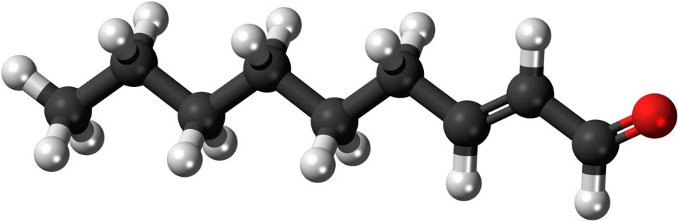 The Chemical Structure Of 2-nonenal - Diethylene Glycol Png (1000x352), Png Download