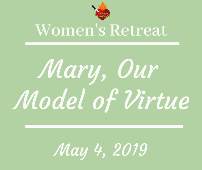 Picture - Insect (670x562), Png Download