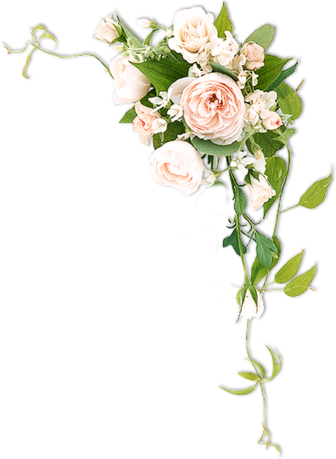 Http - //syedimranrocks - Blogspot - In/ - Flower (550x660), Png Download