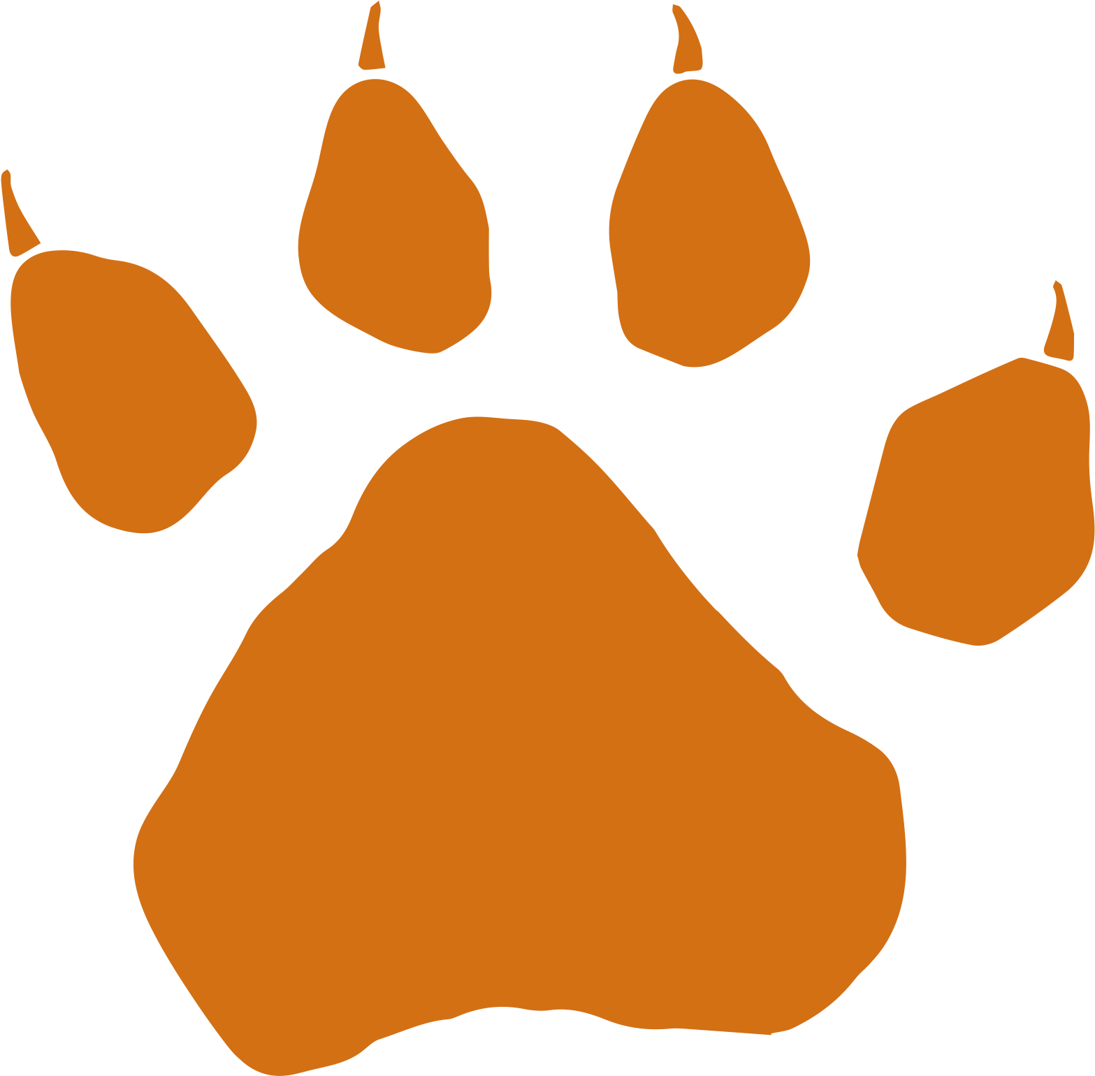 Dog Paw Drawing (1567x1540), Png Download
