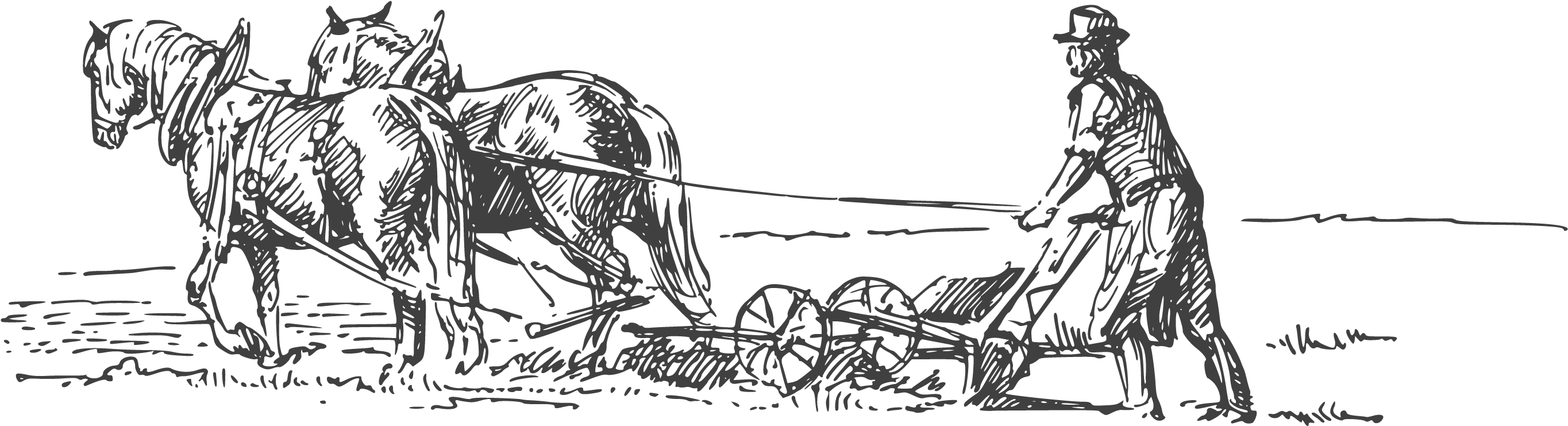 É Esta A Característica Principal Dos Nossos Três Restaurantes, - Horse And Buggy (5000x1613), Png Download