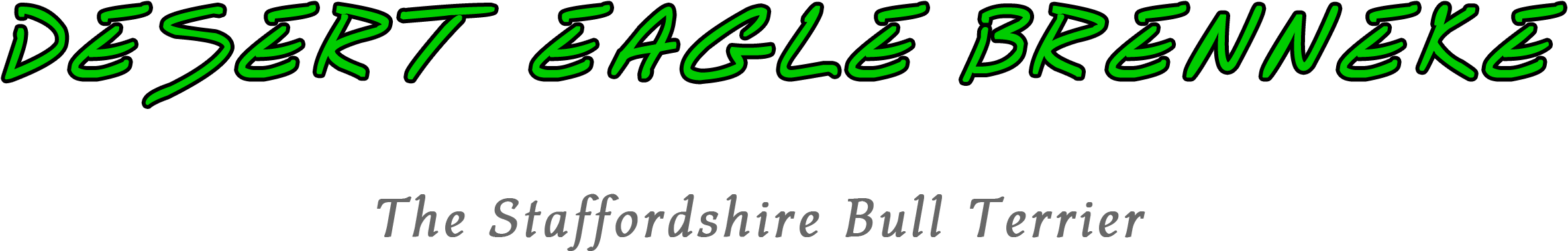 Ndd - Calligraphy (2609x709), Png Download