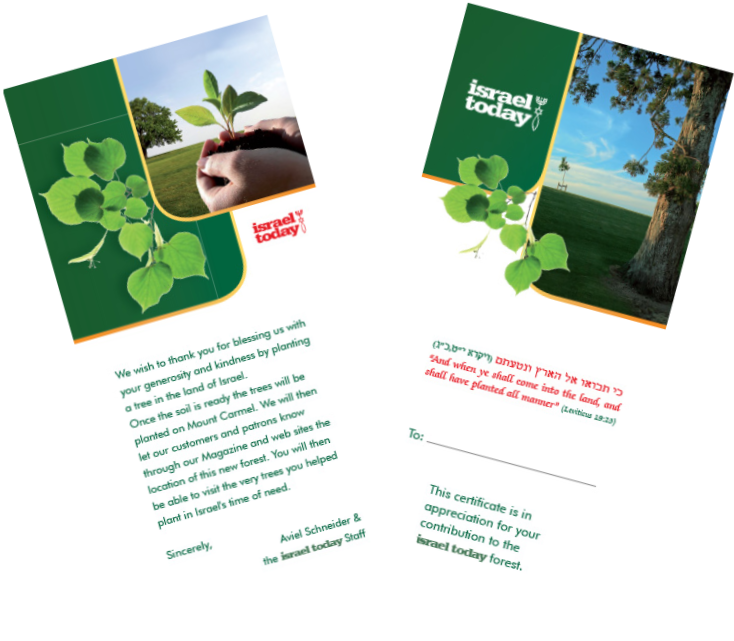 Help Plant The Land Of Israel By Planting A Trees In - Brochure (734x641), Png Download