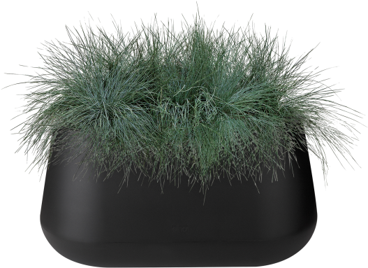 Home > Collection > Pure Cone Long - Grass (750x750), Png Download